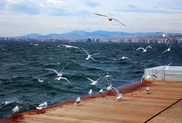 Blue City Center Boutique Apartment Selanik Yunanistan